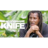 Dr. K'adamawe Knife is a Rastafari lecturer and researcher at the University of West Indies in Jamaica. Enjoy 'Throw Forward' clip from Dr. K'adamawe Knife on speaking about expanding your aura.